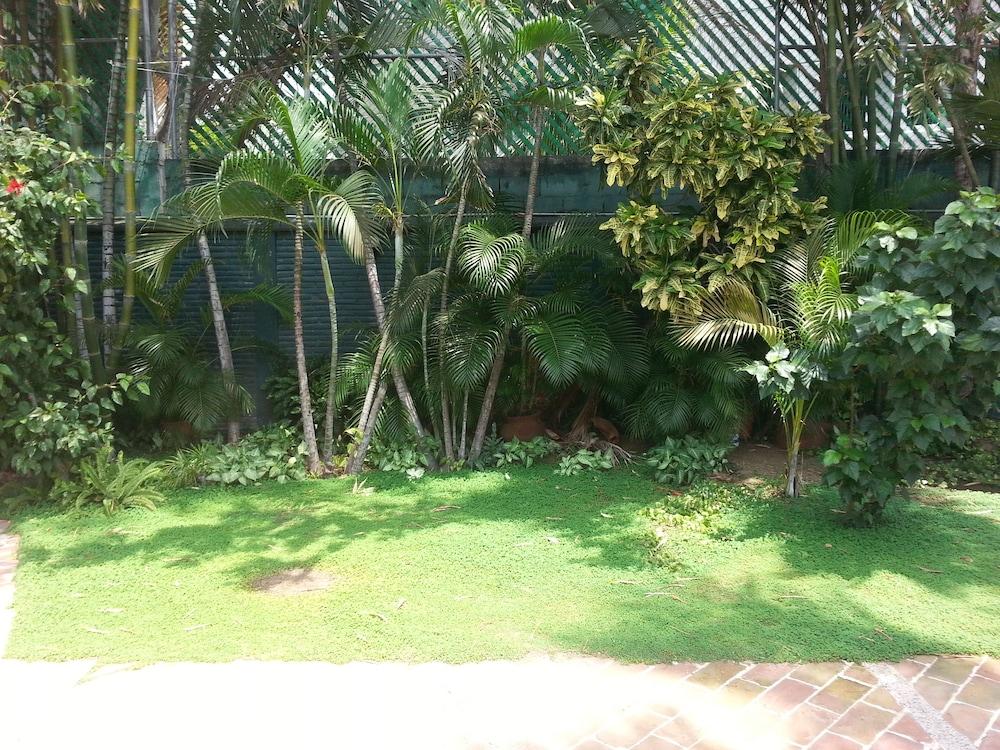 Olinala Diamante Acapulco